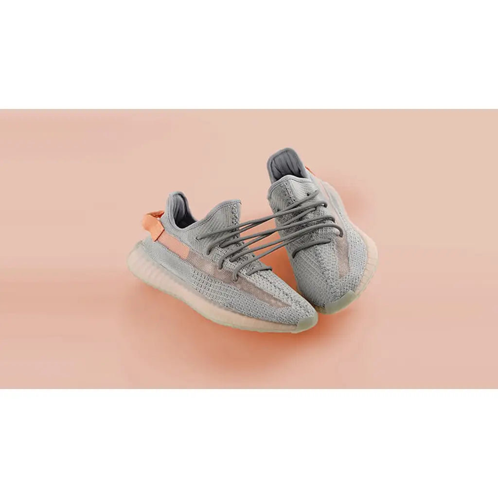 Yeezy Boost 350 V2 True Form